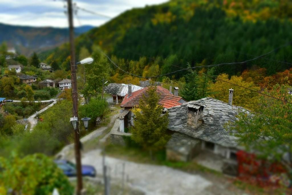 Дома для отпуска Къща за гости Бели ружи Kosovo-35